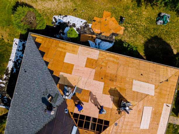 Best Storm Damage Roof Repair  in Port Clinton, OH