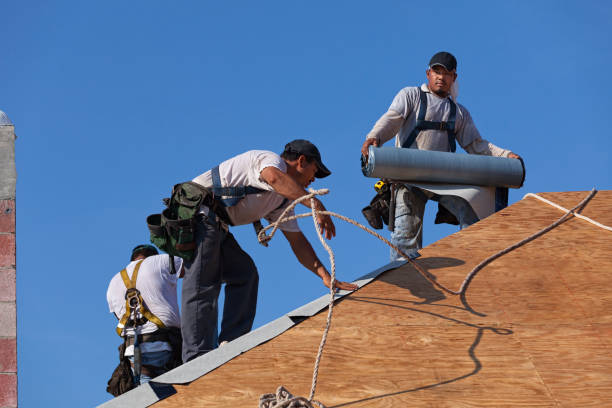 Roof Gutter Cleaning in Port Clinton, OH
